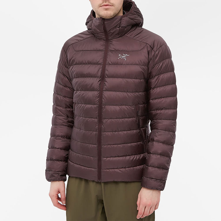 Arcteryx Cerium LT Lightweight Down Jacket with Hood. 29923 圖 16