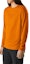 Shop Arcteryx CORMAC Logo LS Quick-Dry Crew Neck Long Sleeve T-Shirt. 29112