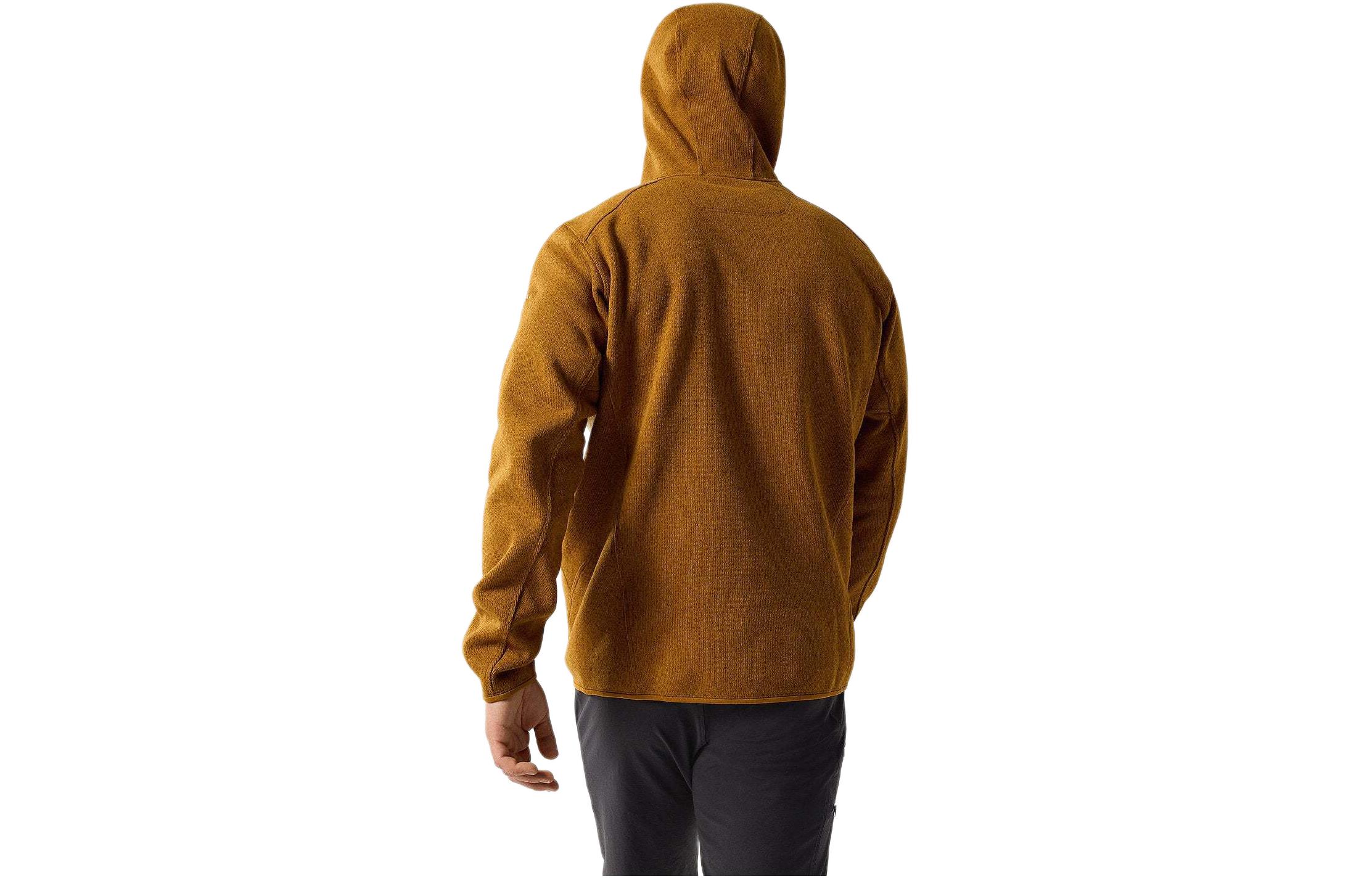 Arcteryx COVERT Pullover Hoody  Casual Loose Fit Colorblock Hoodie 29676 圖 13