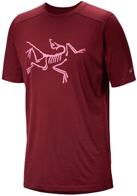 アークテリクス イオニア メリノウール ロゴTシャツ レトログラフィック クルーネック 30571 3