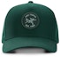 Buy Arcteryx Retro Style Green Cotton Polyester Unisex Baseball Cap 27698