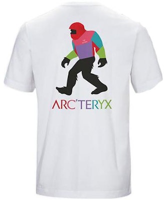 始祖鸟 x 大脚 SV 多色图形轻便透气男女同款T恤 29800 Lookbook 始祖鸟 x 大脚 SV 多色图形轻便透气男女同款T恤 29800