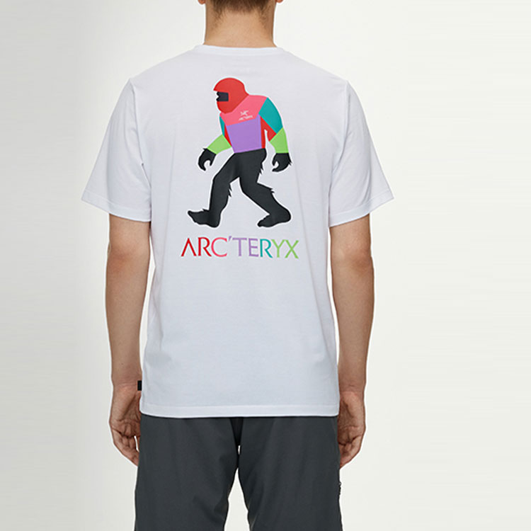 Purchase 始祖鸟 x 大脚 SV 多色图形轻便透气男女同款T恤 29800