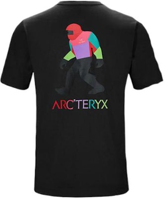 始祖鸟 x 大脚 SV 多色图形轻便透气男女同款T恤 29800 Sizing 始祖鸟 x 大脚 SV 多色图形轻便透气男女同款T恤 29800