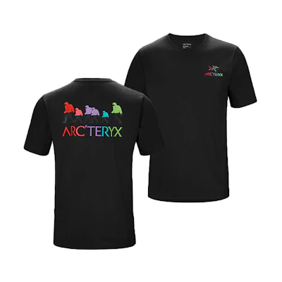Arcteryx Bigfoot SV Polychrome Outdoor Breathable Graphic Tee Unisex 29801
