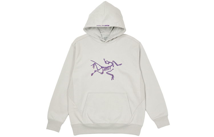 Arcteryx PALACE Collab Logo Print Hoodie Unisex Pullover - Solid Color 29338