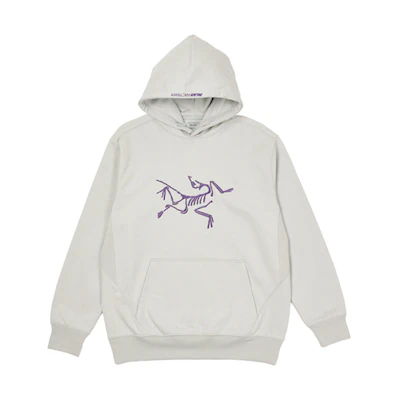 Arcteryx PALACE Collab Logo Print Hoodie Unisex Pullover - Solid Color 29338