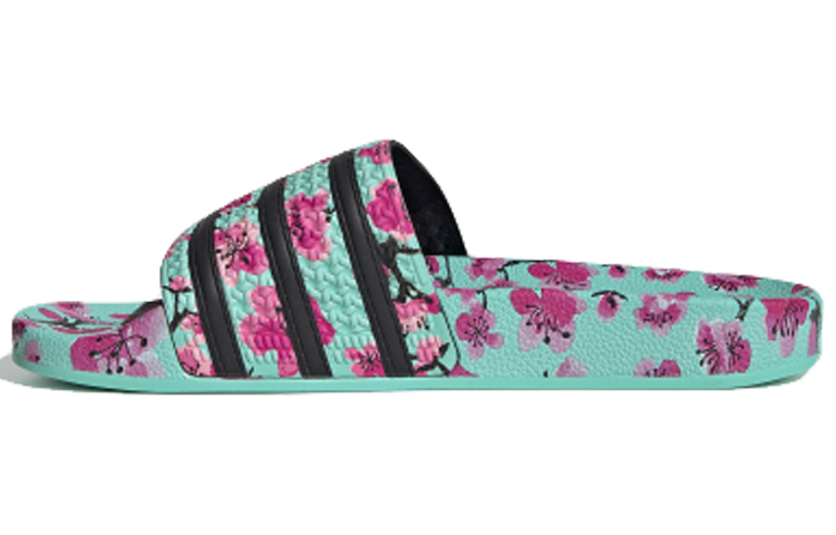 AriZona x adidas Adilette 'Green Tea With Ginseng And Honey' FV2720