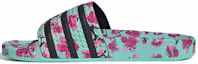Buy AriZona x adidas Adilette 'Teh Hijau Ginseng dan Madu' FV2720