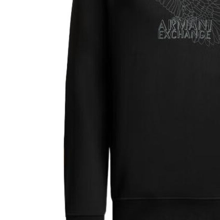 Sizing Armani Exchange FW22 黑色老鷹圖案印花圓領長袖上衣 6LZMHG-ZJ6RZ-1200