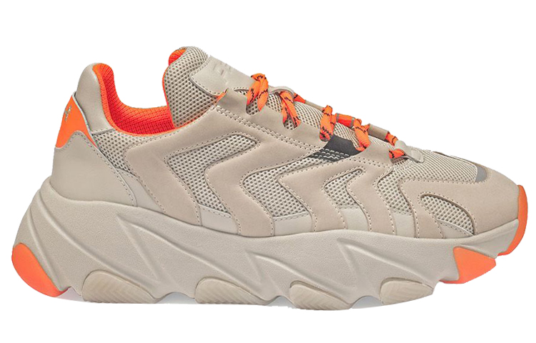 Ash Eagle 'Cream' 圖 2