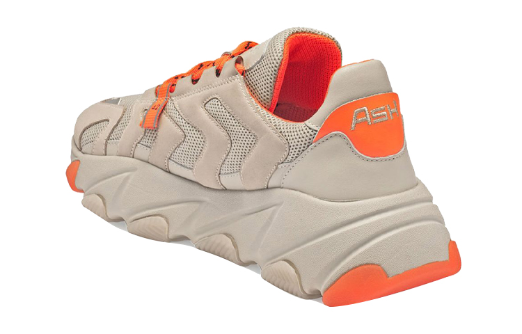 Ash Eagle 'Cream' 圖 3