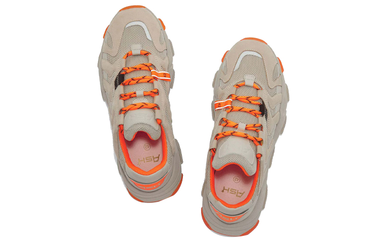 Ash Eagle 'Cream' 圖 4