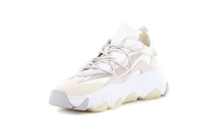 Ash Generic White Sneaker / Generic White Sneaker 'JW_21655366264273905325' 'JW_216553662642739053' 圖 7