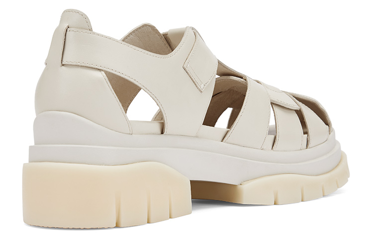 Ash Sand Series Derby 'Apricot' 圖 3