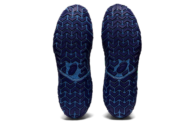 Details for ASICS Aggressor 5 ''Azur New Leaf'' 1081A048-400