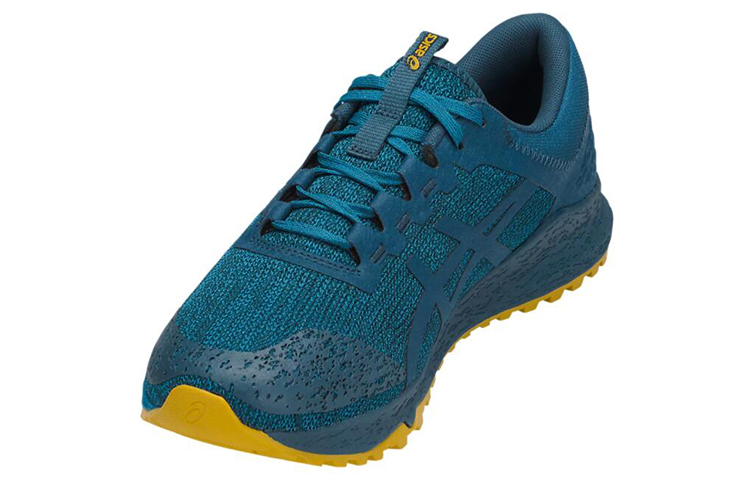 Shop ASICS Alpine XT 'Azul Profundo' T828N-4645