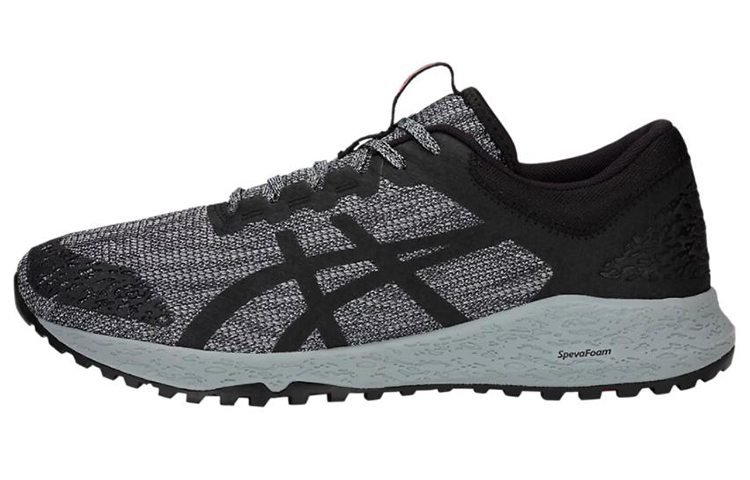 ASICS Alpine XT 'Grey Black' T828N-020