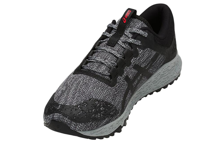 Shop ASICS Alpine XT ''Grau Schwarz'' T828N-020