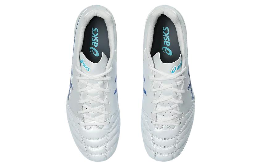 Details for アシックス DSライト プロ 2E ワイド 白/青 1103A110-100