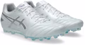 Shop ASICS DS LIGHT PRO AG Sepatu Sepakbola 1103A096-104