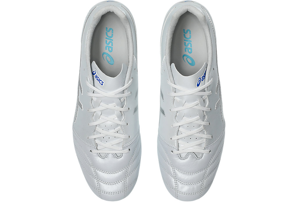 Details for ASICS DS LIGHT PRO AG Sepatu Sepakbola 1103A096-104