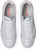Details for ASICS DS Light Pro AG 足球鞋 白色/閃紅 1103A127-102