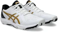 Lookbook ASICS DYNAFEATHER Scarpe Running 1073A064-101