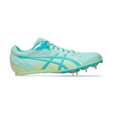 ASICS EFFORT 13