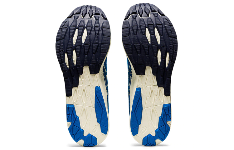 Sizing ASICS EvoRide ''Directoire Blau'' 1011A792-401