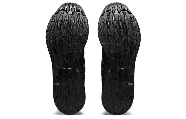 Purchase 亞瑟士 Evoride Orphe 黑金 跑步鞋