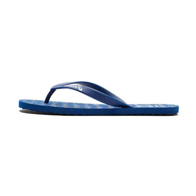 ASICS Flip Flop 'Deep Blue'