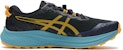 ASICS Fuji Lite 4 'Hitam Madu' 1011B698-001