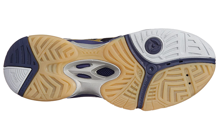 Purchase ASICS Gel-Domain 2 ''Blau'' THH538-5094