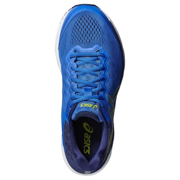 Lookbook ASICS Gel-Fortitude 8 ''Bleu 2E Large'' T817N-4549