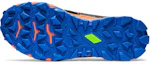 Details for ASICS Gel-FujiTrabuco 8 G-TX 'Shocking Orange' 1011A670-800