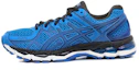 Buy 亚瑟士Gel-Kayano 21低帮‘蓝色’ T4N0Q-4747