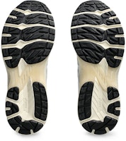 Sizing ASICS Gel-Terrain ''Weiß Lake Grau'' 1203A342-100