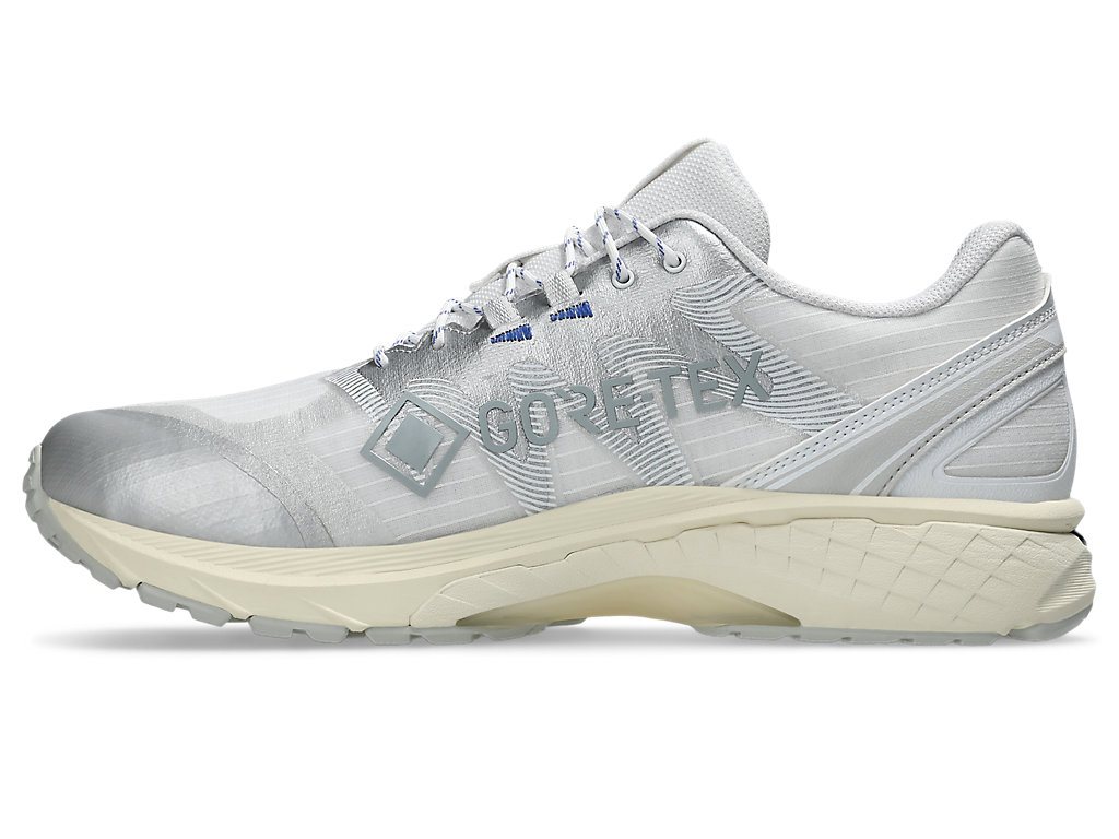 Shop ASICS Gel-Terrain GTX 'White Pure Silver' 1203A457-100