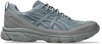 Buy ASICS GEL-Venture 6 Shield 越野跑鞋 鐵甲灰/峽灣灰 1203A474-024