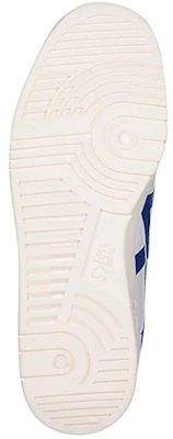 Asics Gel-Vickka Trs 白藍色 跑步鞋 Purchase Asics Gel-Vickka Trs 白藍色 跑步鞋