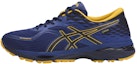Buy ASICS Gel-Cumulus 19 Gore-Tex 'Biru Kuning' T7C2N-4958