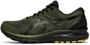 Buy 亞瑟士 Gel Cumulus 22 Gore-Tex 'Smog Green' 1011A893-300