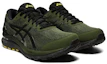 Lookbook 亞瑟士 Gel Cumulus 22 Gore-Tex 'Smog Green' 1011A893-300