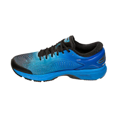 ASICS Gel Kayano 25 SP 'Blue'