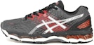 Buy ASICS GEL-Nimbus 17 'Abu Merah' T507N-7401