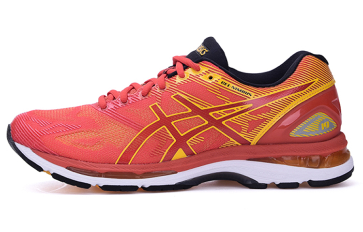 ASICS Gel Nimbus 19 'Red Clay' T700N-0604