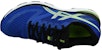 ASICS Gel Pulse 10 'Imperial' Lelaki 1011A007-401
