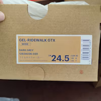 Lookbook ASICS Gel Ride Walk GORE-TEX ''Impermeabile'' 1293A036