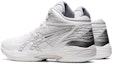 Shop ASICS Gelhoop V14 4E Lebar 'Putih Perak' 1063A051-100